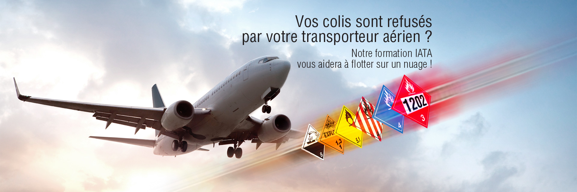 Formation IATA | Transport Aérien Marchandises Dangereuses